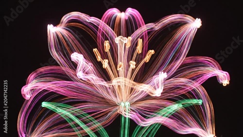 Vibrant light painting of a flower on a dark background