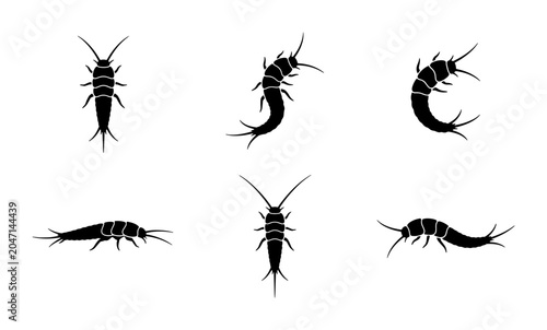 Принти на полотні Silverfish Insect Icons, Pest Control Vector Set, Small Arthropod Silhouettes