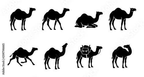 Photography Camel Silhouettes Collection: Desert Animals in Various Poses, Vector Icons for