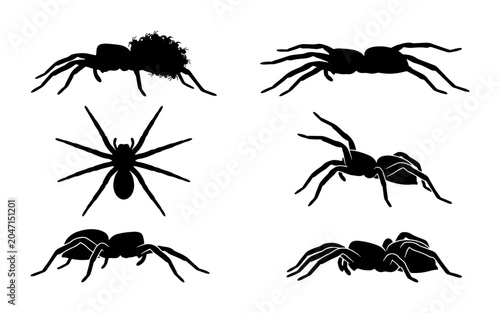 Tableau sur toile Spider Silhouettes Collection: Arachnid Vector Icons for Halloween and Nature De