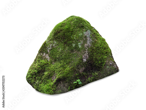 Obraz na plátně Mossy rock isolated on white background green moss on stone