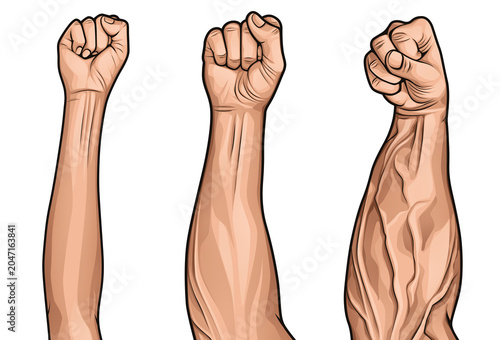 Obraz na płótnie Illustration of the transformation of skinny arm muscles into muscular and veiny ones