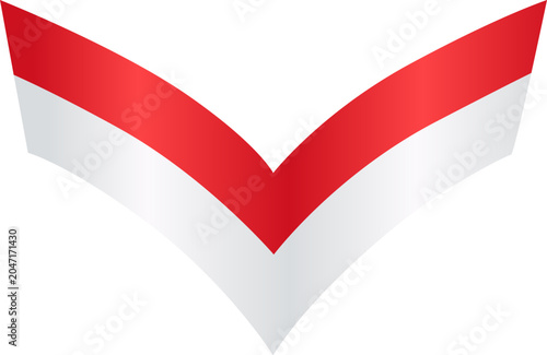 red check mark vector