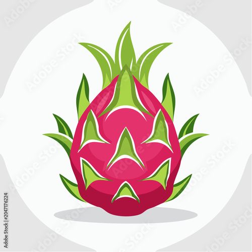 Illustration of a Dragon Fruit