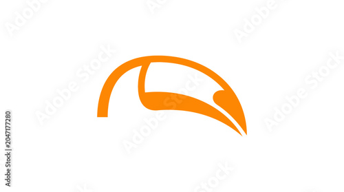 Tableau sur toile Orange bird beak head side profile.