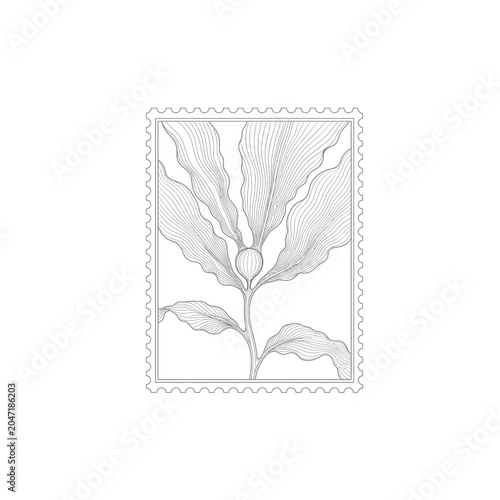 Giant Kelp Blade Minimalist Serrated Stamp