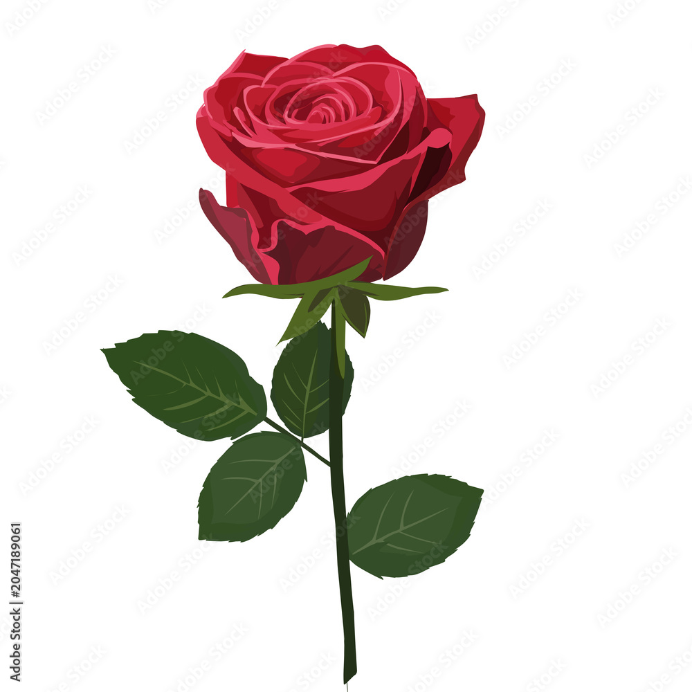 Naklejka premium single red rose