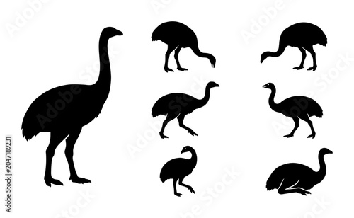 Photography Ostrich Silhouette Collection, Diverse Poses, Vector Graphics for Wildlife and S