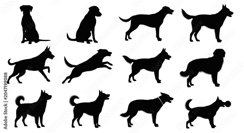 Fototapeta premium Dogs in Various Poses Silhouettes.
