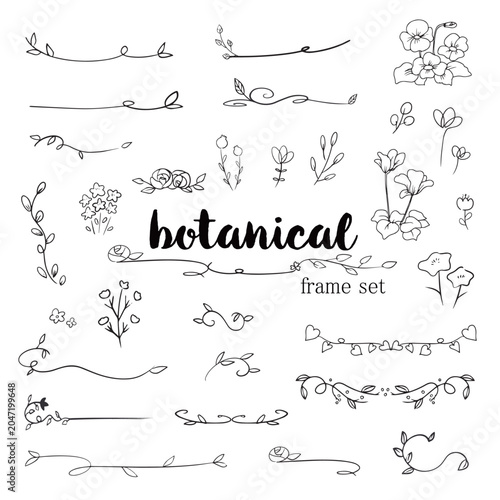 Botanical frame set hand drawn floral line collection