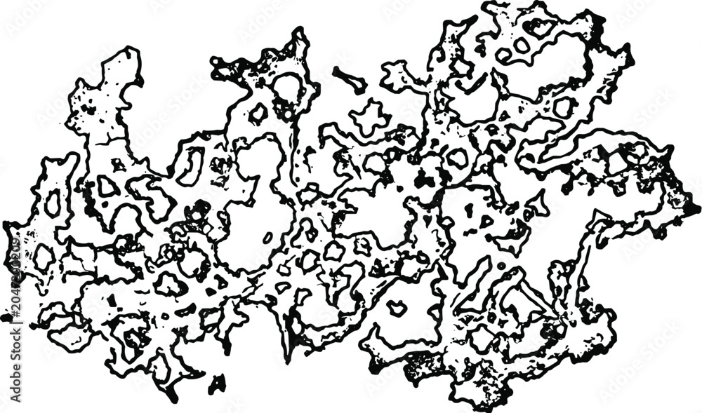 Fototapeta premium Vintage hand drawn lichen illustration, antique botanical moss sketch vector, organic textured fungus element for natural history design