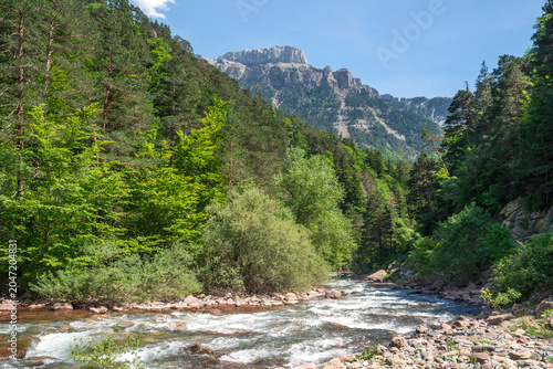 Quadro su tela El río Aragon Subordán a su paso por el Valle de Hecho, en el Parque Natural de