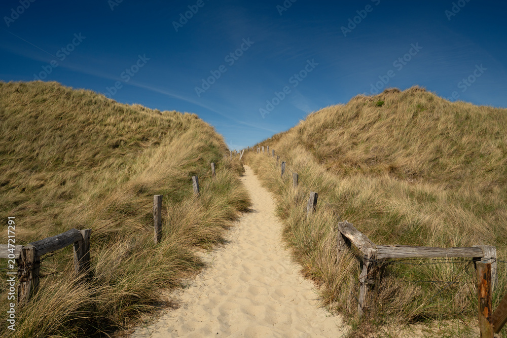 Fototapeta premium footpath in the dunes on the way to the sea