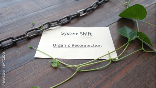 Chain and Ivy with System Shift Concept, Organic Reconnection Symbolizing Change and Growth in Nature and Society