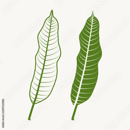 Minimalist vector illustration of two stylized green leaves with prominent veins, featuring solid and outline designs in a clean botanical nature theme.