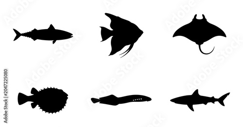 Photography Marine Life Silhouettes: Diverse Ocean Creatures, Aquatic Animals, Underwater Wi