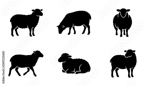 Fotografia Sheep Silhouettes Collection, Farm Animal Icons, Livestock Vector Graphics, Rura