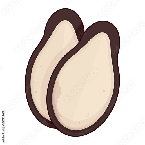 Two Roasted watermelon seeds illustration cartoon cute