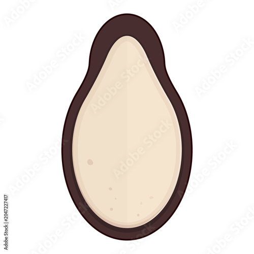Roasted watermelon seeds illustration cartoon cute