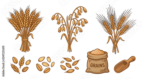 Billede på lærred Cartoon set of wheat, oats and barley with grains and scoop
