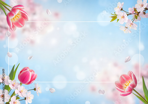 Colorful spring flowers in soft focus with blue background  