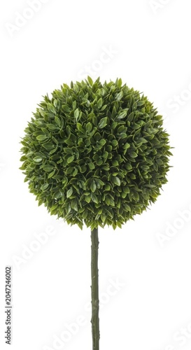 Perfectly Manicured Faux Boxwood Sphere on a Slender Stem
