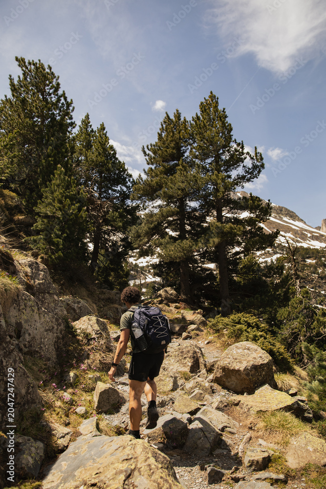 Fototapeta premium Male hiker with backpack walking along a rocky mountain trail surrounded by pine trees and alpine vegetation in the Spanish Pyrenees. Adventure travel, hiking and outdoor recreation 