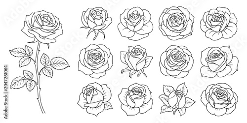 Rose Flower Line Art Set with Delicate Outlines, Stems, Leaves and Hand-Drawn Tattoo Style for Invitations and Decor