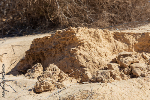 фотографія Close up of eroded sand texture and dry roots in a desert environment