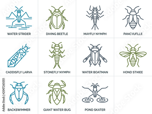 Minimalist outline icons of various aquatic insects for biology and ecology education
