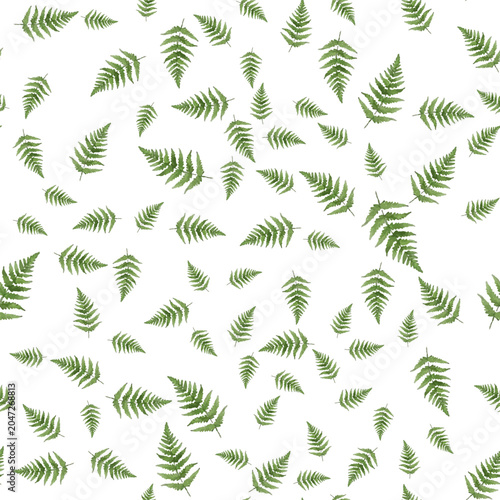 Fern frond isolated seamless vector illustration, green tropical forest plant...