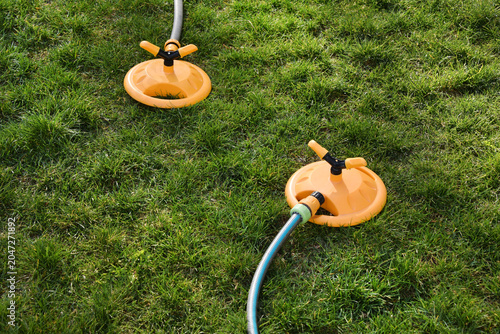 Two yellow oscillating sprinklers water a lush green lawn in a backyard garden. Backyard garden sprinklers irrigate grass on a bright summer day, evoking spring and summer holidays.