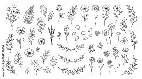 Collection of various floral line drawings.