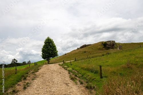 A quiet dirt path climbs through grassy hills, lined with wooden fence posts and a lone tree under a cloudy New Zealand sky
