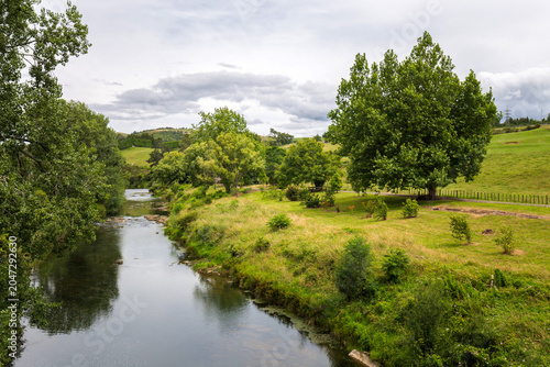 Calm Ohinemuri River Flowing Through Rural New Zealand Countryside
