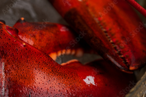Close up of cooked lobster body and claw on ice in gold bowl. Angled view of dark red carapace with speckled texture against hammered metal rim.