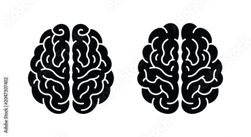 Fényképezés Two human brain hemispheres detailed convolutions black silhouette brains cerebr