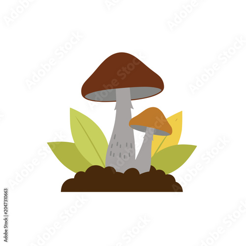 Two Mushrooms Growing From Soil with Leaves, Flat Vector Illustration Isolated on Transparent Background