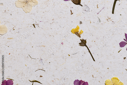 Handmade mulberry paper texture background with pressed dried flowers