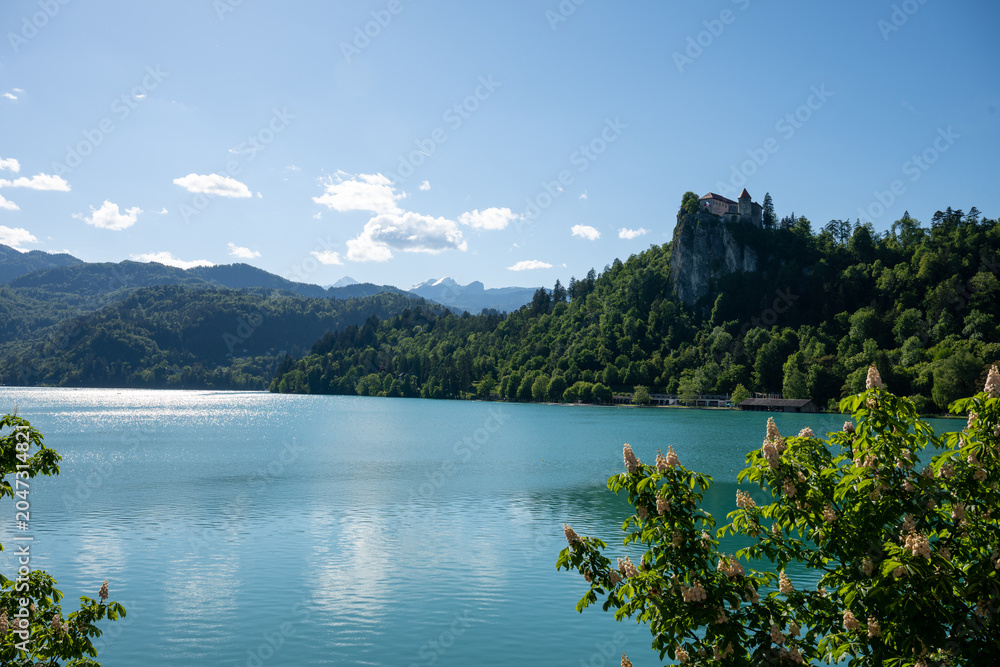Naklejka premium Bled | Slowenia | Europe