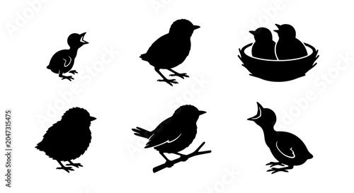 Tableau sur toile Bird Silhouettes, Baby Birds, Nestlings, Chicks, Avian Life, Nature Elements, Ve