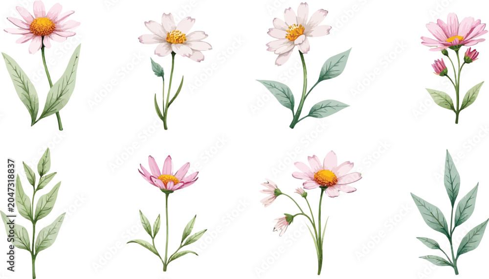 Fototapeta premium Watercolor Illustration of Delicate Pink Flowers with Green Stems and Leaves.