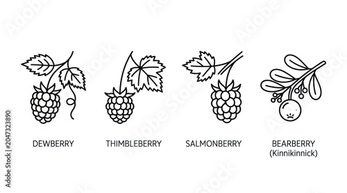 Valokuva Wild berry icons featuring dewberry thimbleberry and salmonberry.