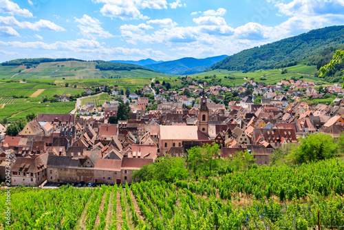 Foto View of Riquewihr village with vineyard on a foreground