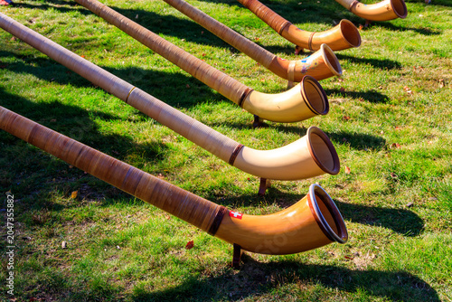 Fényképezés Alphorns laying on the grass on the alpine meadow