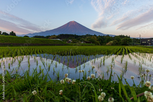 夕暮れ夕暮れの田んぼに映える逆さ富士の田んぼに映える逆さ富士