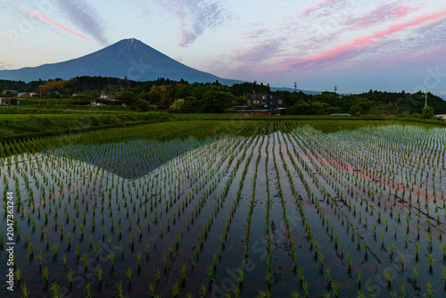 夕暮れの田んぼに映える逆さ富士