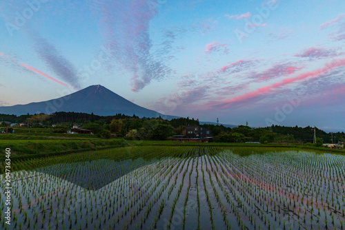 夕暮れの田んぼに映える逆さ富士