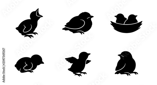 Photos Chicks Icons Set, Baby Birds Silhouette Collection, Newborn Poultry Vector Graph