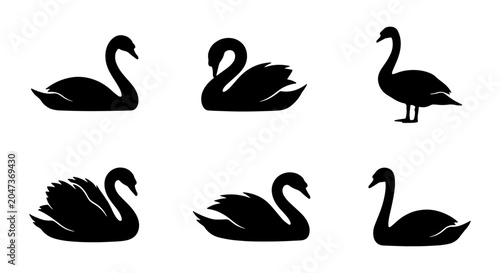 Fotografi Black Swan Silhouettes Collection: Elegant Waterfowl Vector Icons for Nature and